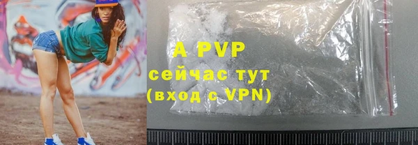 ГАЛЛЮЦИНОГЕННЫЕ ГРИБЫ Белокуриха