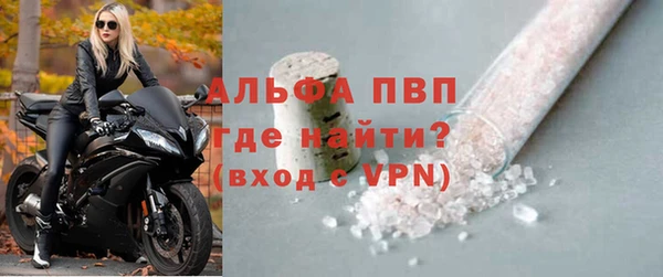 ГАЛЛЮЦИНОГЕННЫЕ ГРИБЫ Белокуриха