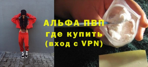 ГАЛЛЮЦИНОГЕННЫЕ ГРИБЫ Белокуриха