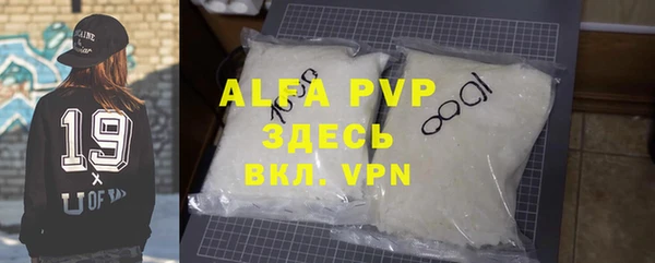 ГАЛЛЮЦИНОГЕННЫЕ ГРИБЫ Белокуриха