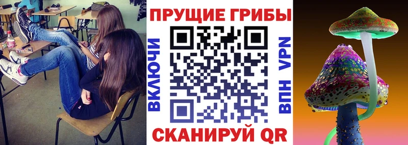 Галлюциногенные грибы мицелий  Котельники 